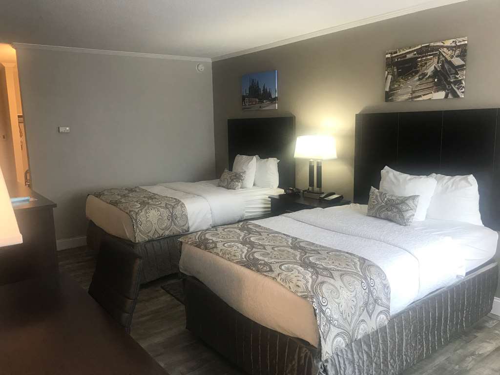 Surestay Plus Hotel By Best Western Lehigh Valley Bethlehem Phòng bức ảnh